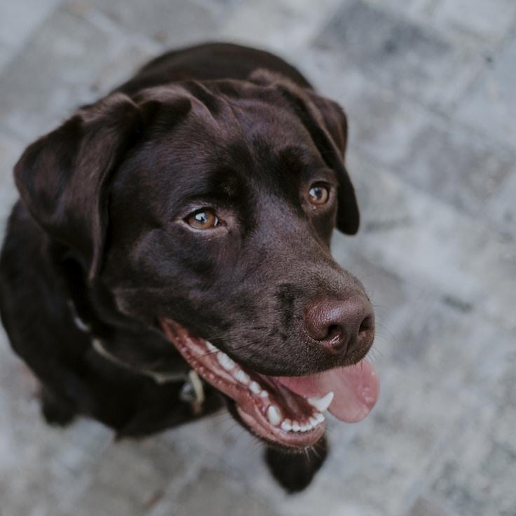 Jules Singh, Client Relations Director, discussing corporate gifting strategy with business clients